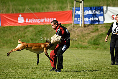 Xarey vom Further Moor