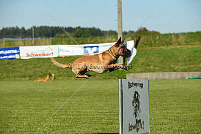 Xarey vom Further Moor