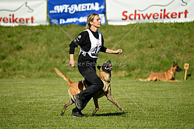 Xarey vom Further Moor