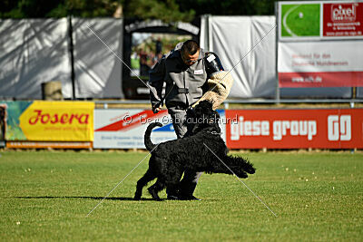 Xaro von der Schönburg