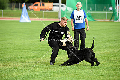 Xaro von der Schönburg