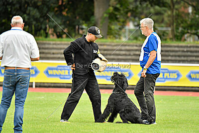 Xaro von der Schönburg