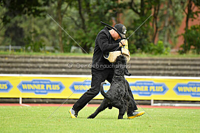 Xaro von der Schönburg