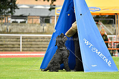 Xaro von der Schönburg