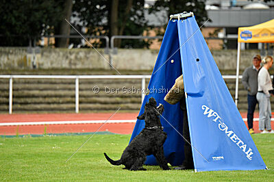 Xaro von der Schönburg