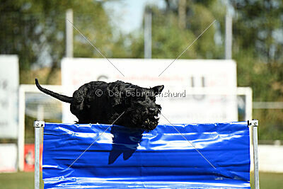 Xaro von der Schönburg