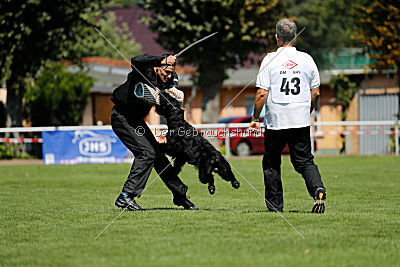 Xaro von der Schönburg