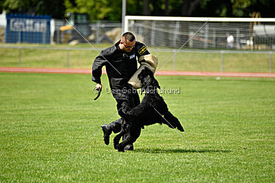 Xaro von der Schönburg