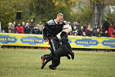 Xaro von der Schönburg