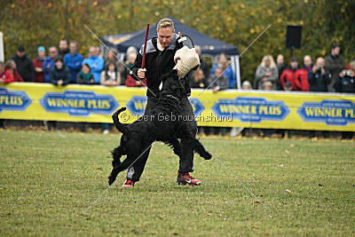 Xaro von der Schönburg