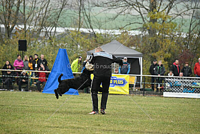 Xaro von der Schönburg