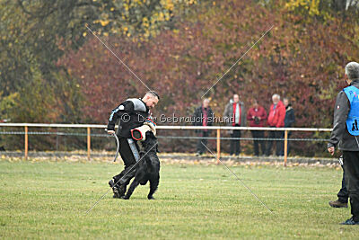 Xaro von der Schönburg