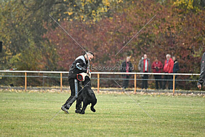 Xaro von der Schönburg