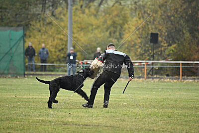 Xaro von der Schönburg