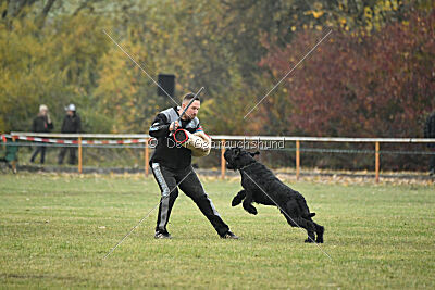 Xaro von der Schönburg