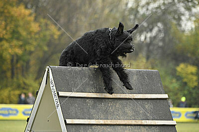 Xaro von der Schönburg