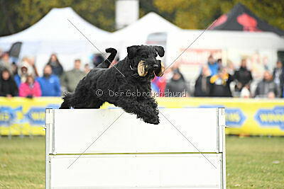 Xaro von der Schönburg