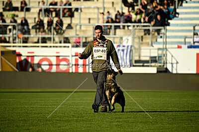 Xavi de Jardines del Real