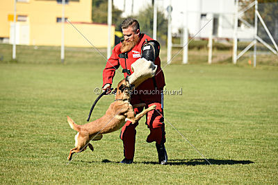 Xena vom Hause Diethelm