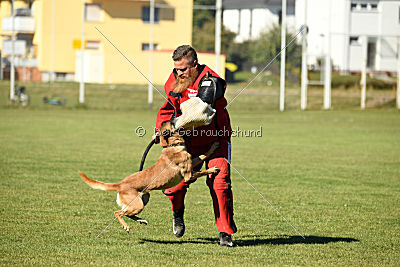 Xena vom Hause Diethelm