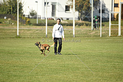 Xena vom Hause Diethelm