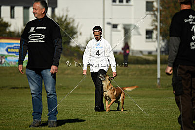 Xena vom Hause Diethelm