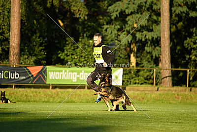 Xero vom Waisagrund