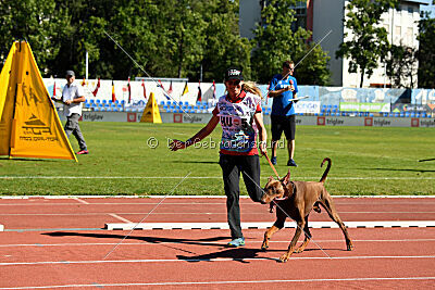 Xhunter von Warringhof