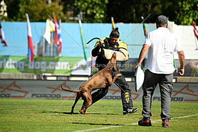 Xhunter von Warringhof