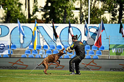 Xhunter von Warringhof