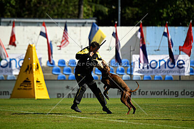 Xhunter von Warringhof