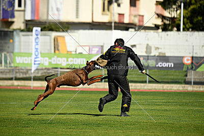 Xhunter von Warringhof