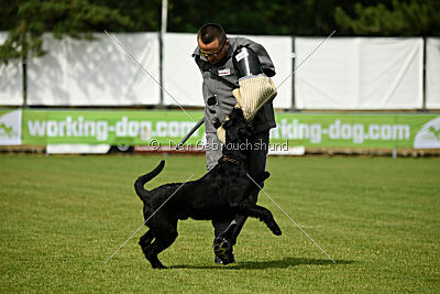 Xioux vom Lindelbrunn