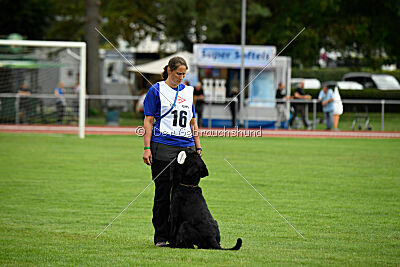 Xioux vom Lindelbrunn