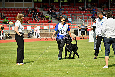 Xioux vom Lindelbrunn