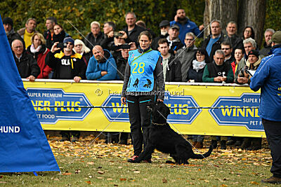 Xioux vom Lindelbrunn