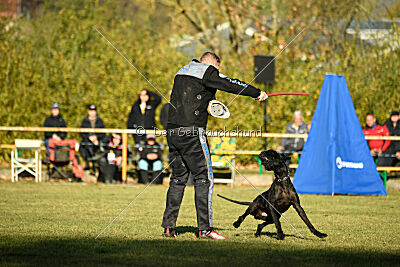 Xoskar vom Reußer Land