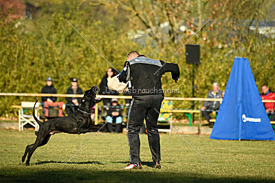 Xoskar vom Reußer Land