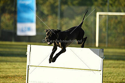 Xoskar vom Reußer Land