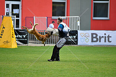 Xtreme vom Further Moor