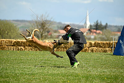 Xtreme vom Further Moor