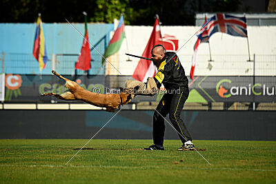 Xtreme vom Further Moor