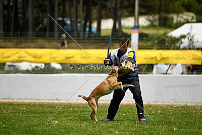 Xyoda vom Further Moor