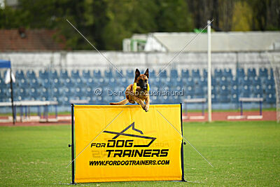 Y'Maximus vom Rheurdter Land