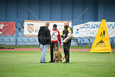 Y'Maximus vom Rheurdter Land