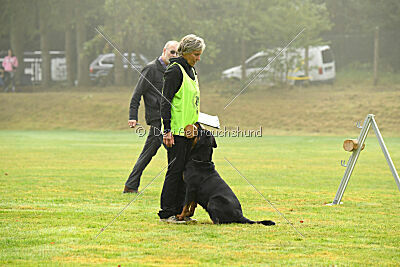 Yakima vom Hause Neubrand