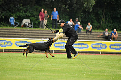 Yakima vom Hause Neubrand