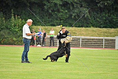 Yakima vom Hause Neubrand