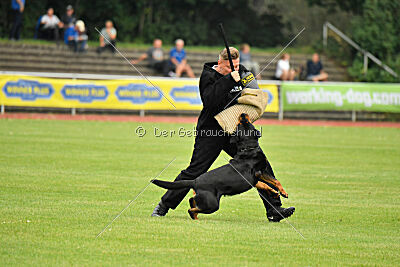 Yakima vom Hause Neubrand