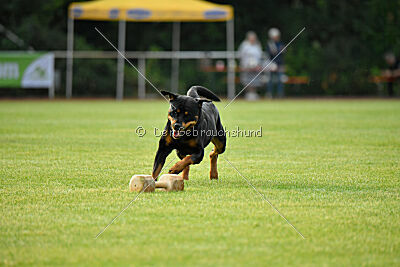 Yakima vom Hause Neubrand